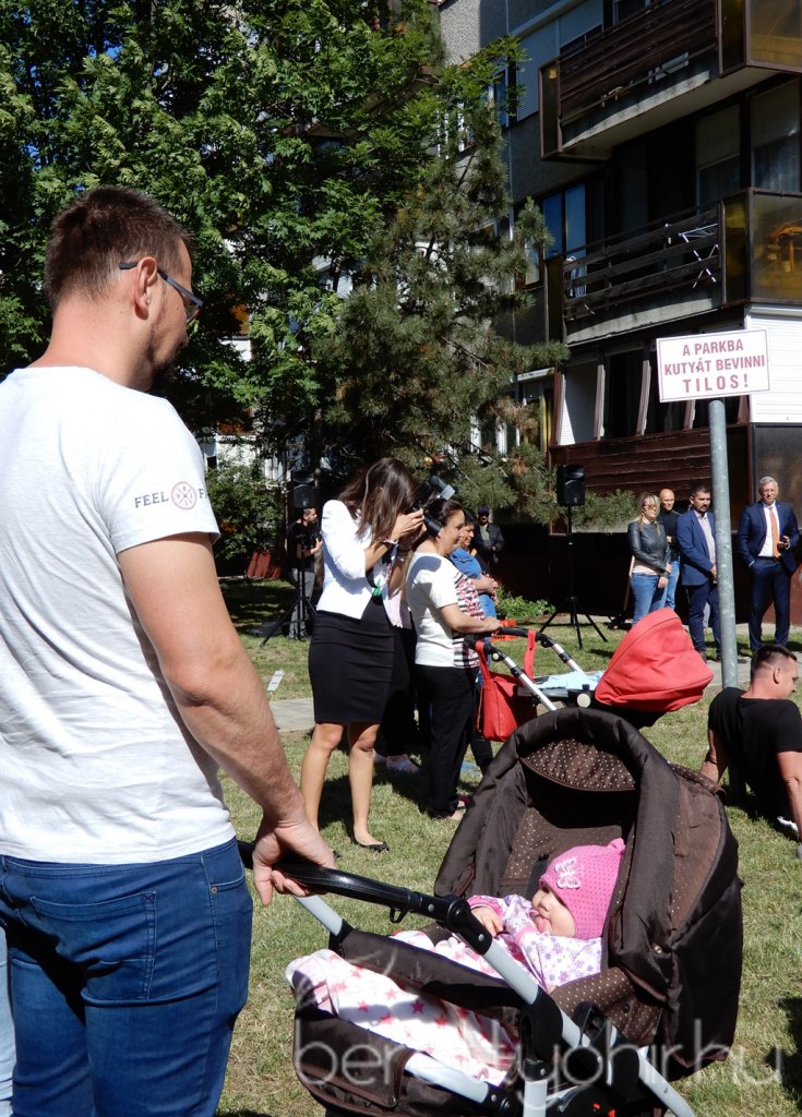 Életfa ültetés a város napján 14